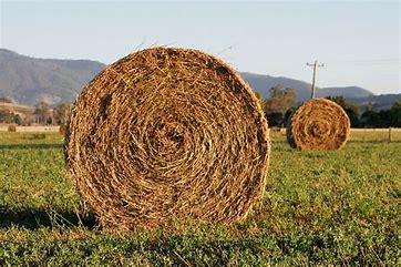 What Is A Hay Bale And What Is It Made From Iowa Agriculture Literacy